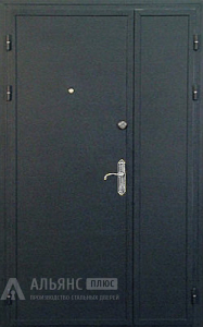 Тамбурная двухстворчатая дверь для загородного дома с порошковым окрасом №5 внешняя - фото