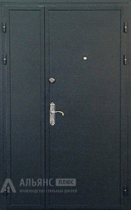 Тамбурная двухстворчатая дверь для загородного дома с порошковым окрасом №5 внутренняя - фото